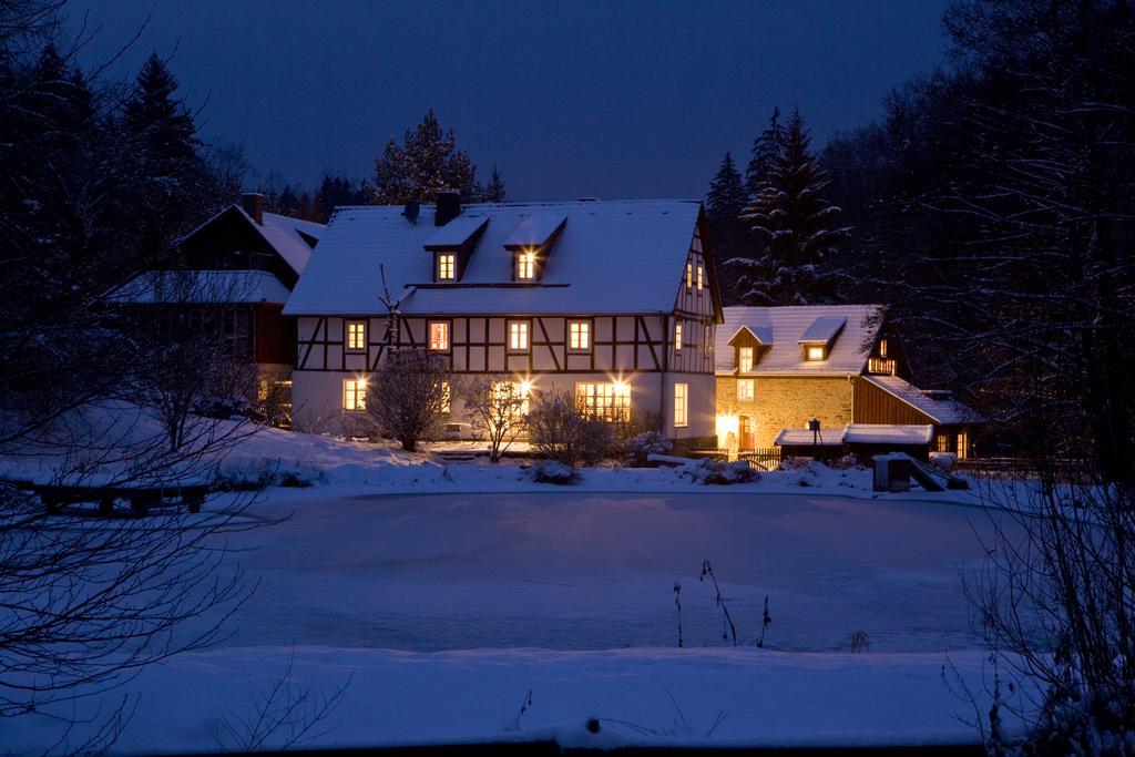 Romantik Hotel Landhaus Baerenmuehle Frankenau Екстериор снимка