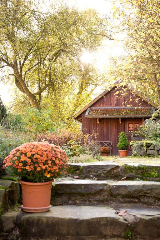 Romantik Hotel Landhaus Baerenmuehle Frankenau Екстериор снимка